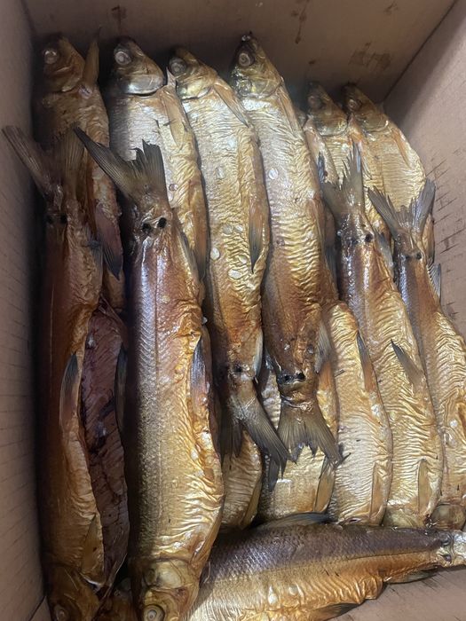 Пелядь горячего копчения