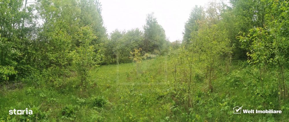 Ocazie!Teren intravilan in comuna Ciurila sat Saliste, priveliste