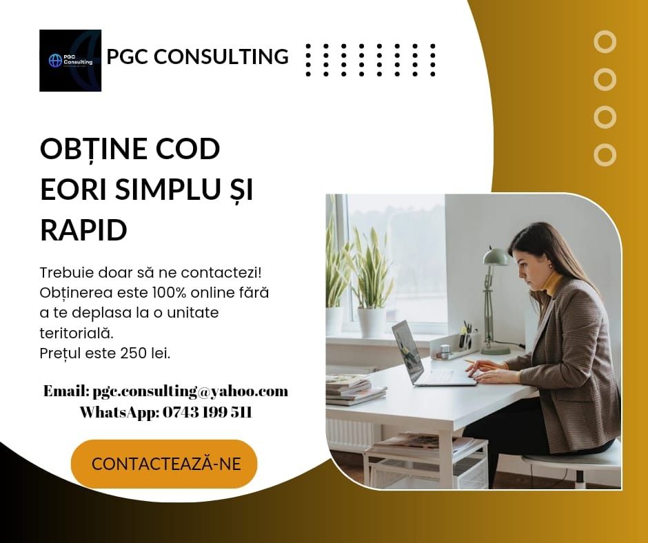 Servicii contabile online