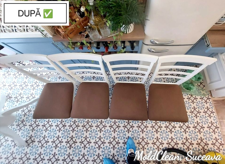 Servicii de Curățare/Igienizare -Canapele, scaune, fotolii, tapiterii