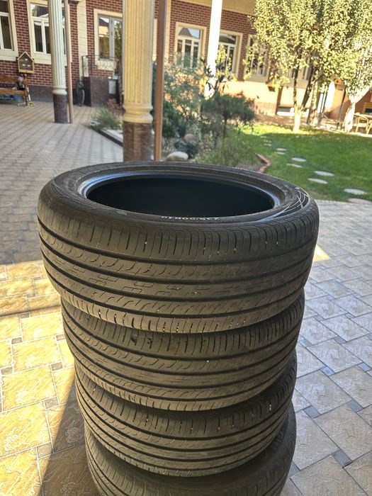 Шины byd chempion