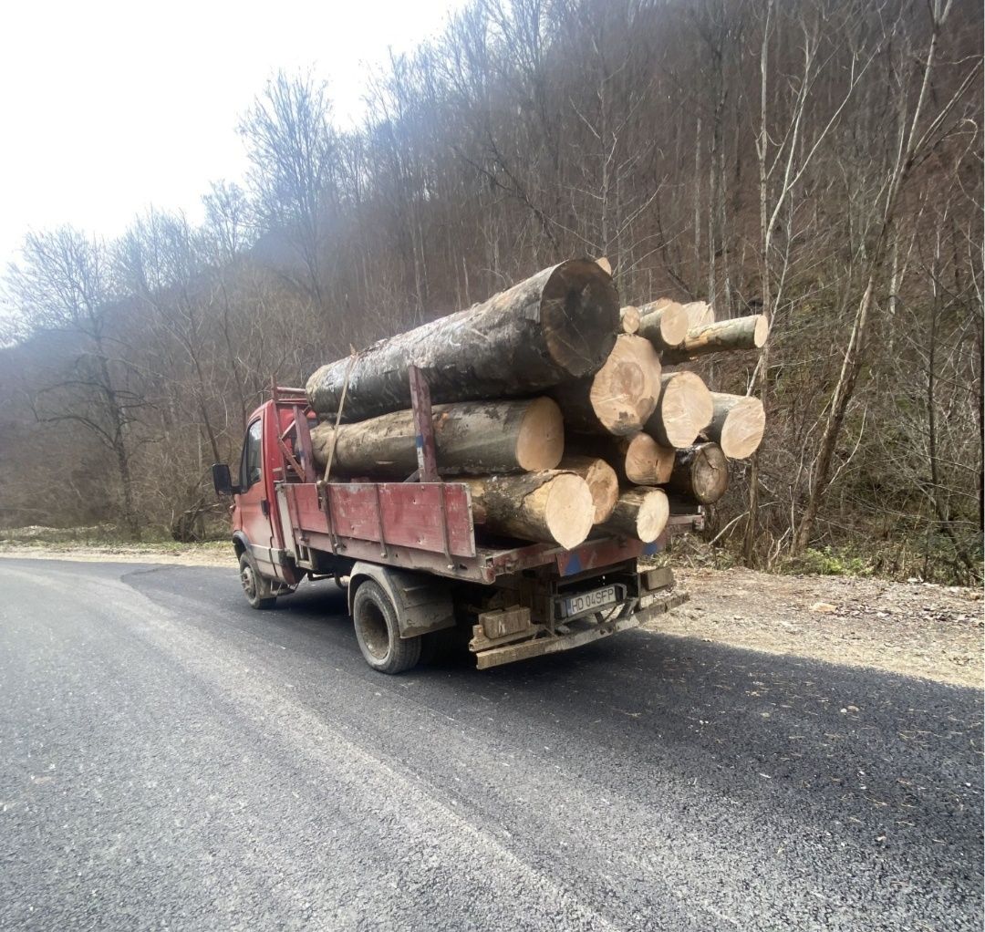 Lemn de foc Fag la 3M !!! TOT JUDEȚUL!!