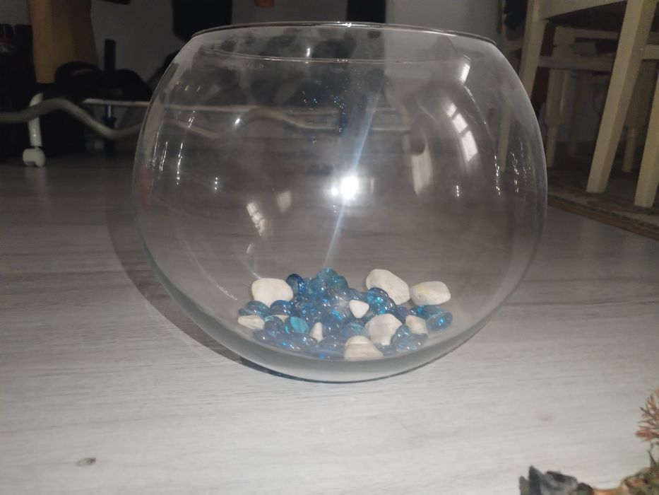 Acvariu pești beta cu accesorii.