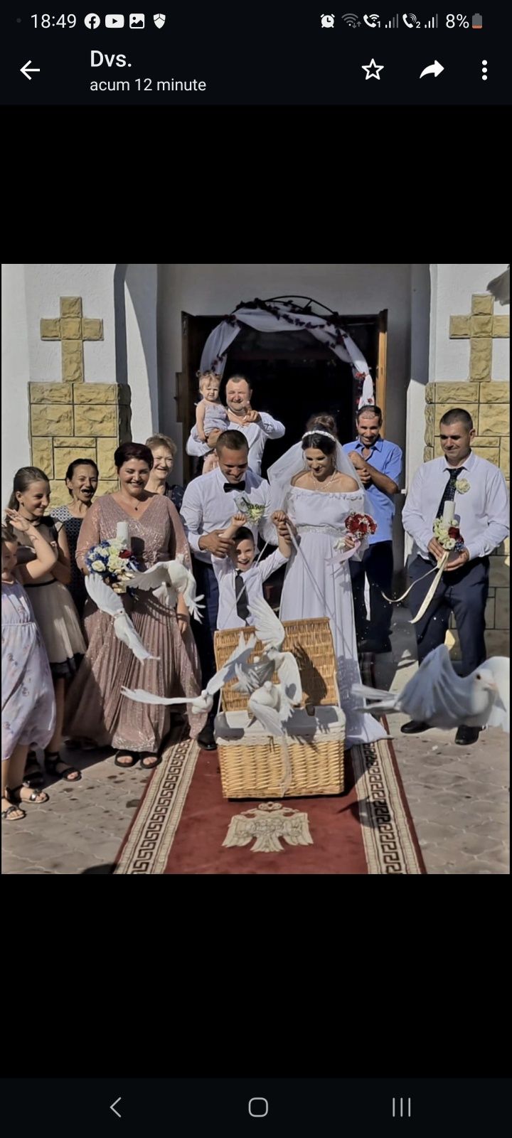 Porumbei albi pentru nunta Constanta