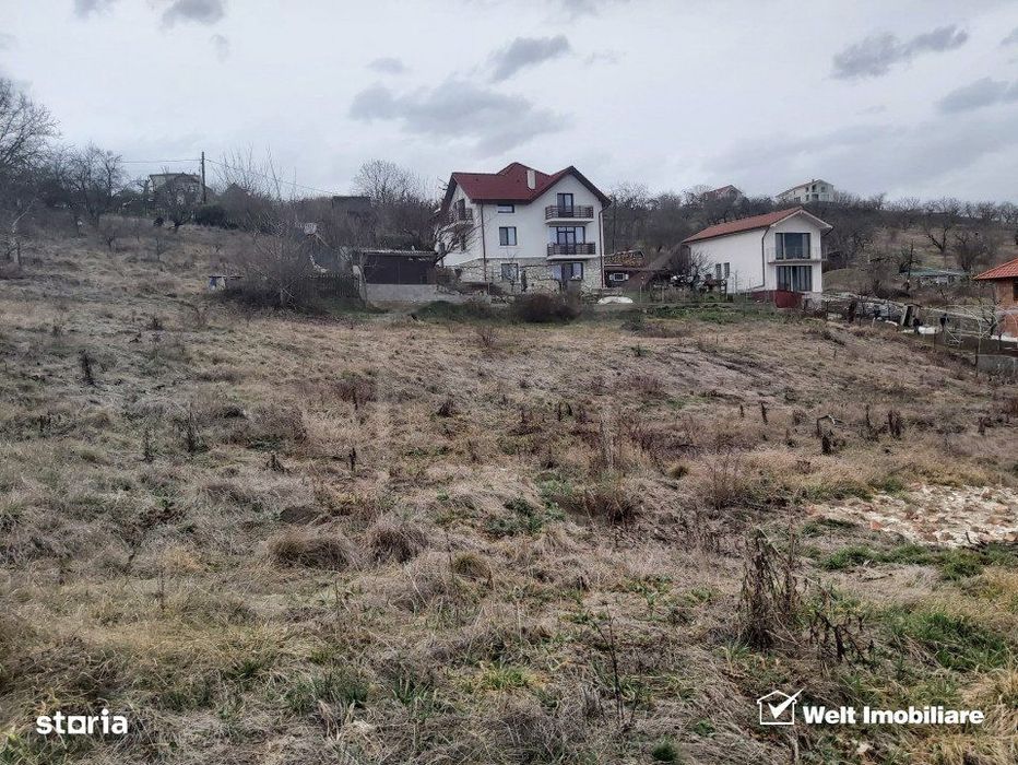 Teren de vanzare, 976 mp, Dambul Rotund