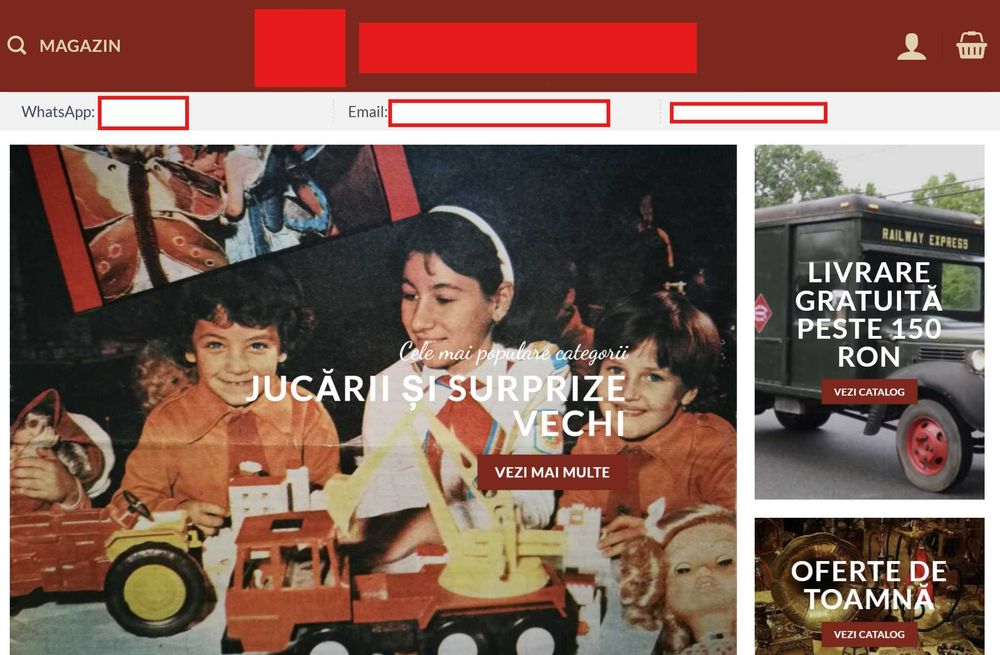 Creeare website-uri profesionale pentru PFA/Business-uri mici