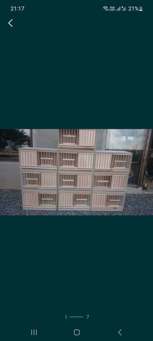 Boxe pentru porumbei