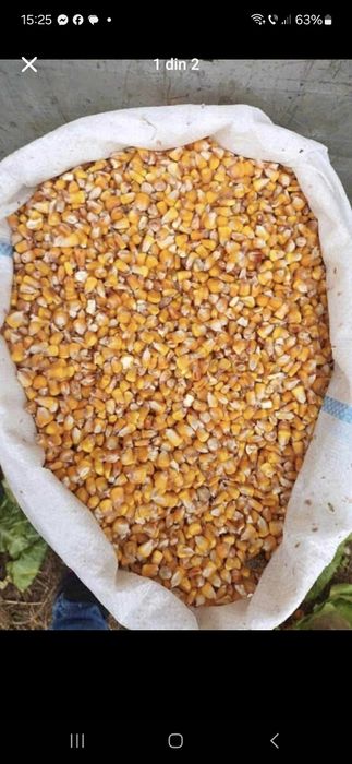 Malai Uscat Porumb Graunte