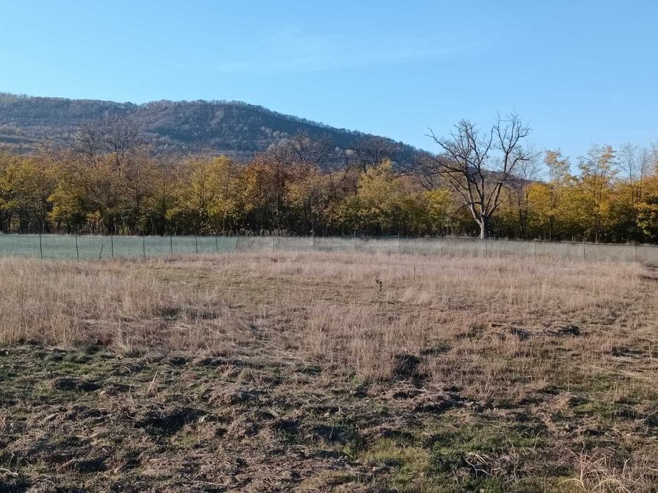 Teren de vânzare intravilan 749 mp deal-munte