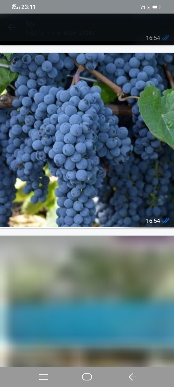 Ягодка Саяжайы Дача сатылады