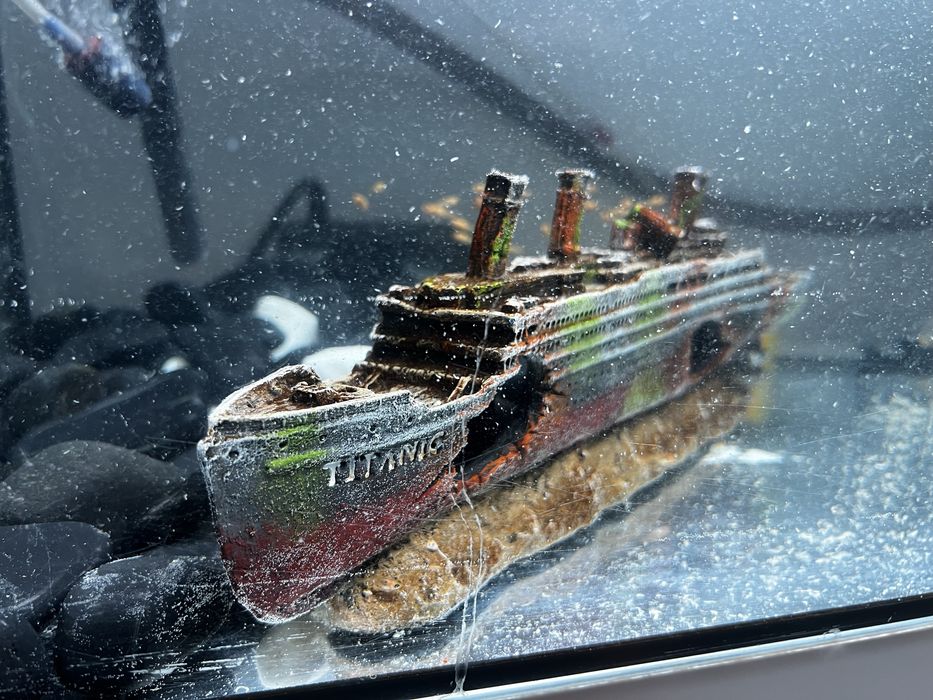 Acvariu,pesti,pompa exigen,pompa recirculare si filtare apa