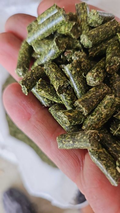 Peleți furaj Lucernă