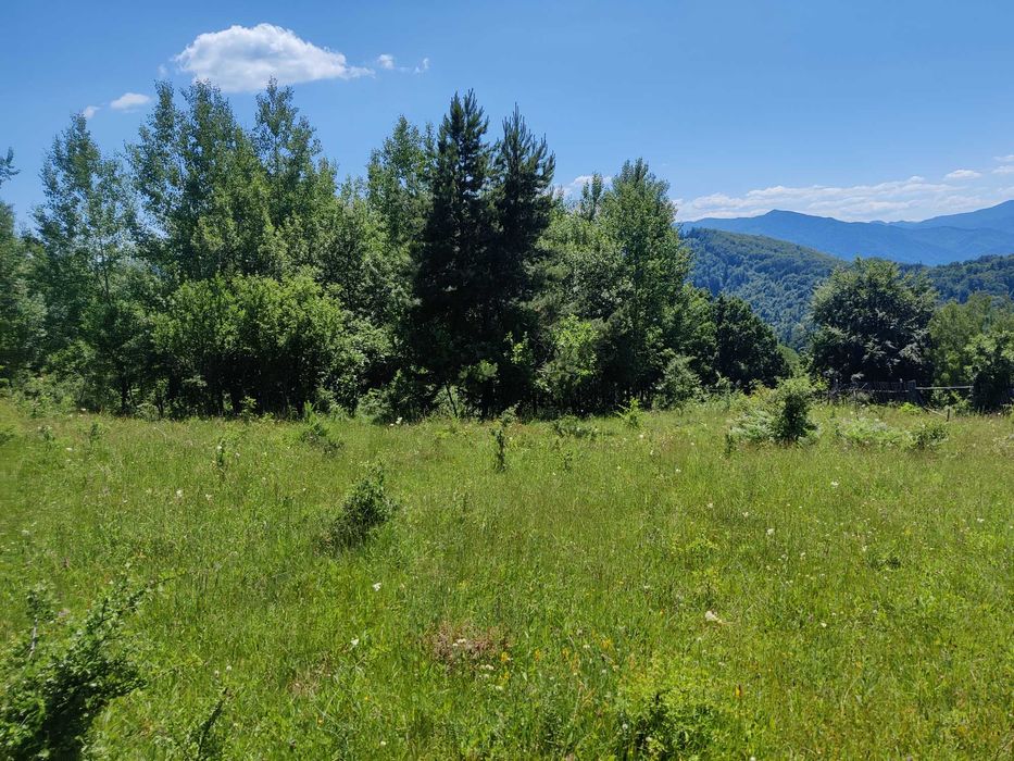 Oportunitate deosebită în Bisericani, Alexandru cel Bun - Neamt