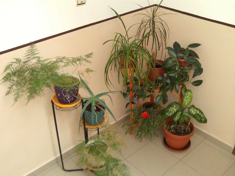 фотоапарат MAGINON Splash 80 с два дисплея