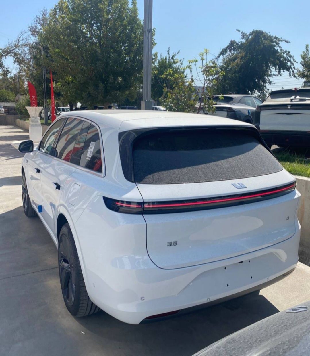 Lixiang Li 6 pro cip