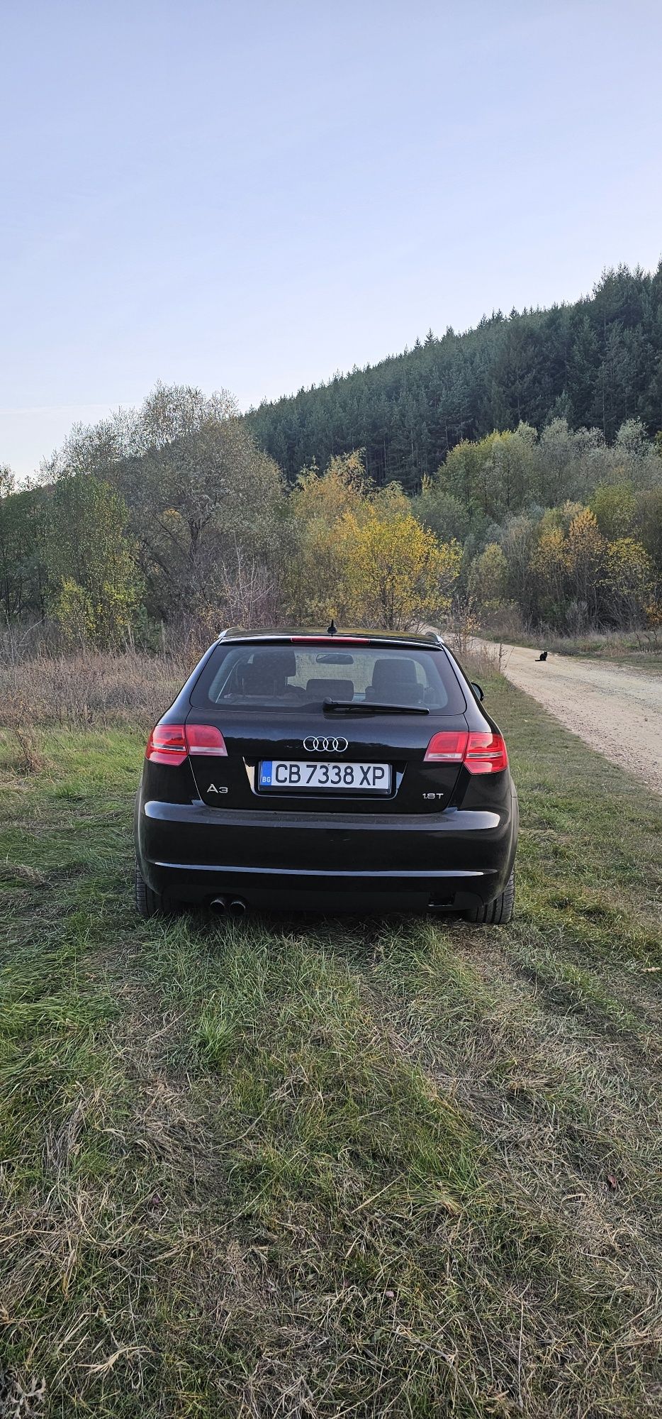 Audi A3 1.8 T FTSI 8P