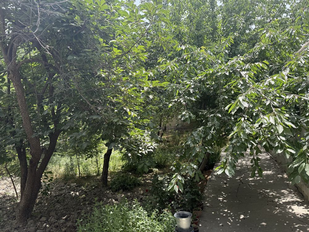 Продаётся участок 3,5 сотки ориентир Согдиана новая дорога