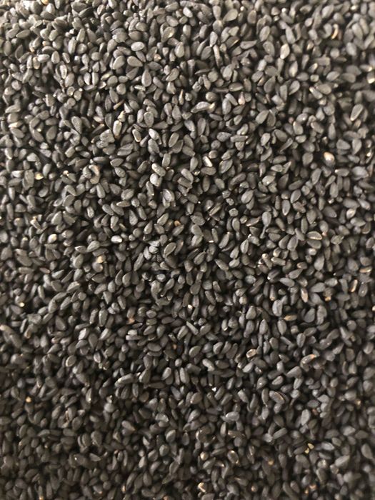 Kunjut sedana qora sedana yog’