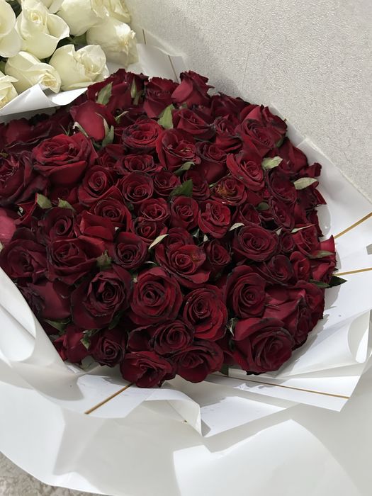 Продам роза 51 штук свежие 60 см