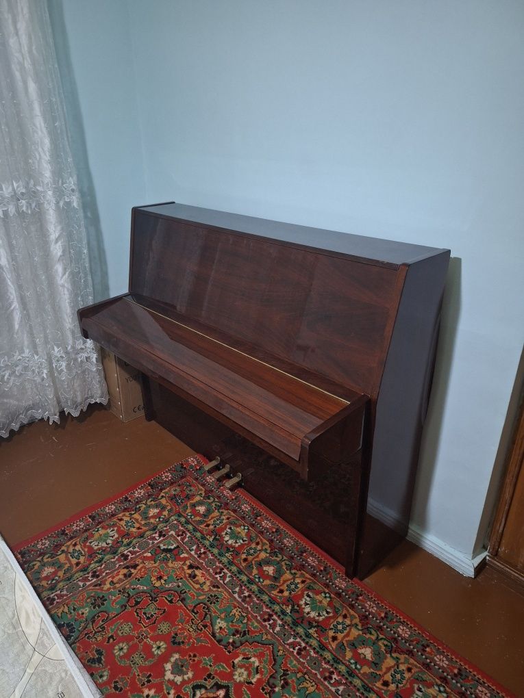 Pianina holati zor