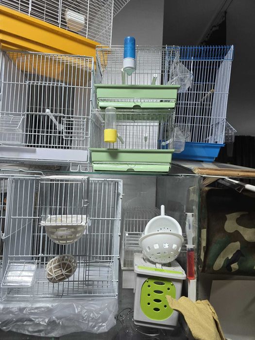 Colivii toate modelele noi si folosite