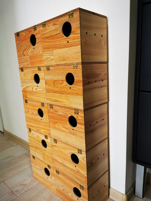 Vând cuiburi pentru papagali