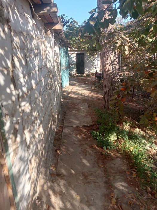 Dacha vasxodda dacha sotiladi