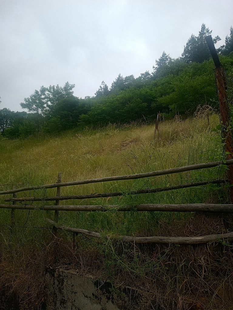 Продава се Къща в с. Сивино, Област Смолян - 200 кв.м за 135 €/кв.м - Снимка #3