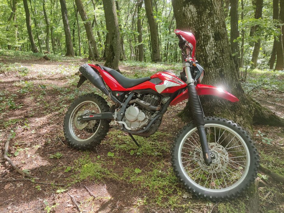 Enduro Beta Alp 350 (Suzuki DR)