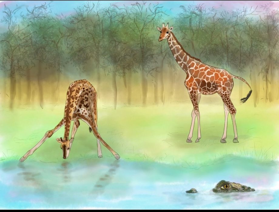 Векторни и растерни  илюстрации. Корици за книги.