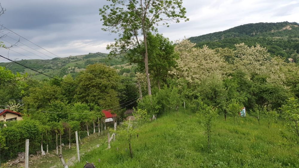 Teren Provita de Sus, Breaza