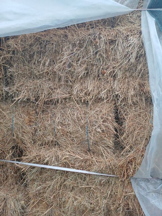 Baloți de fân amestecat cu trifoi  și baloți de lucernă