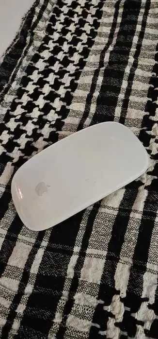 mouse apple magic