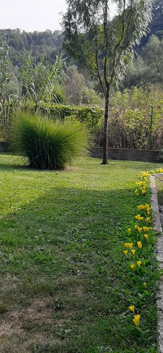 Продава се Къща в с. Стара речка, Област Търговище - 80 кв.м за 675 €/кв.м - Снимка #5