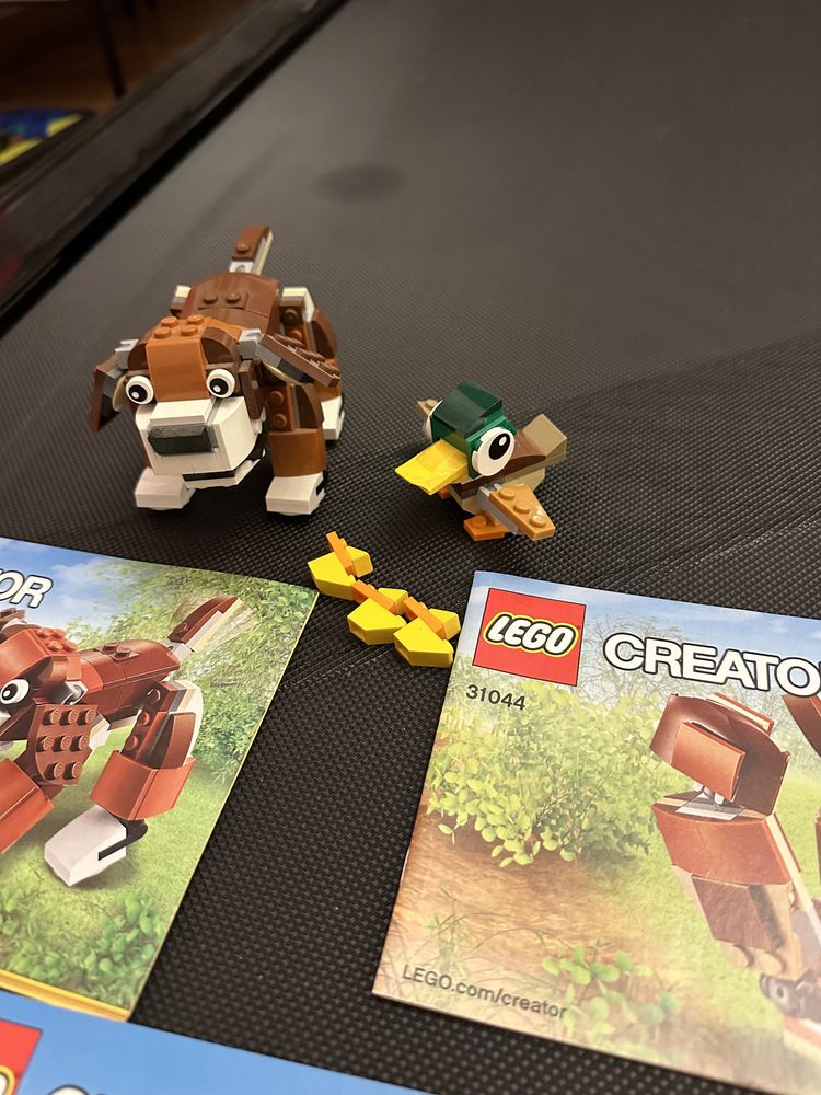 Lego Creator 31044 Animale din parc