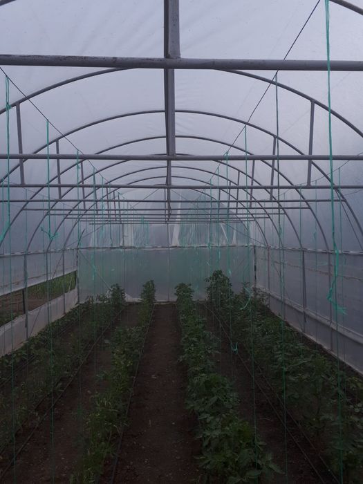 Sere cu Montaj. legume flori solare 70 ron