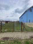 Teren intravilan 1.000 mp in Zimandu Nou