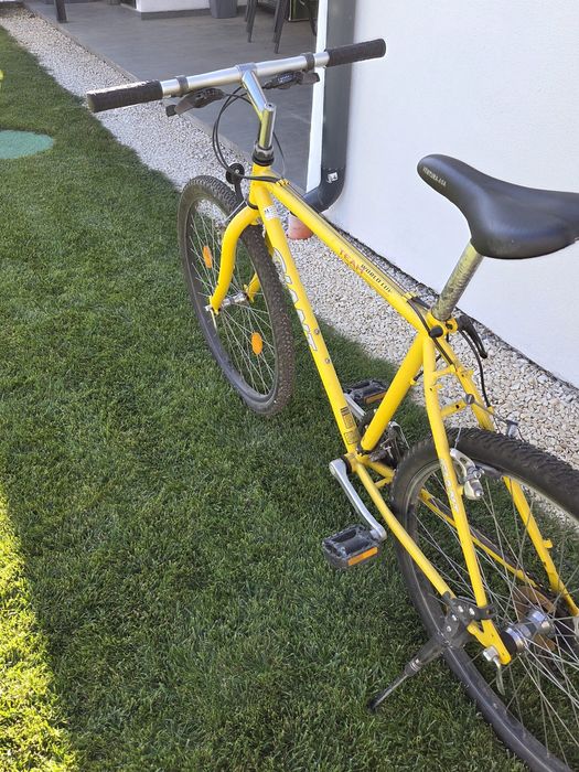 Bicicleta mountain bike