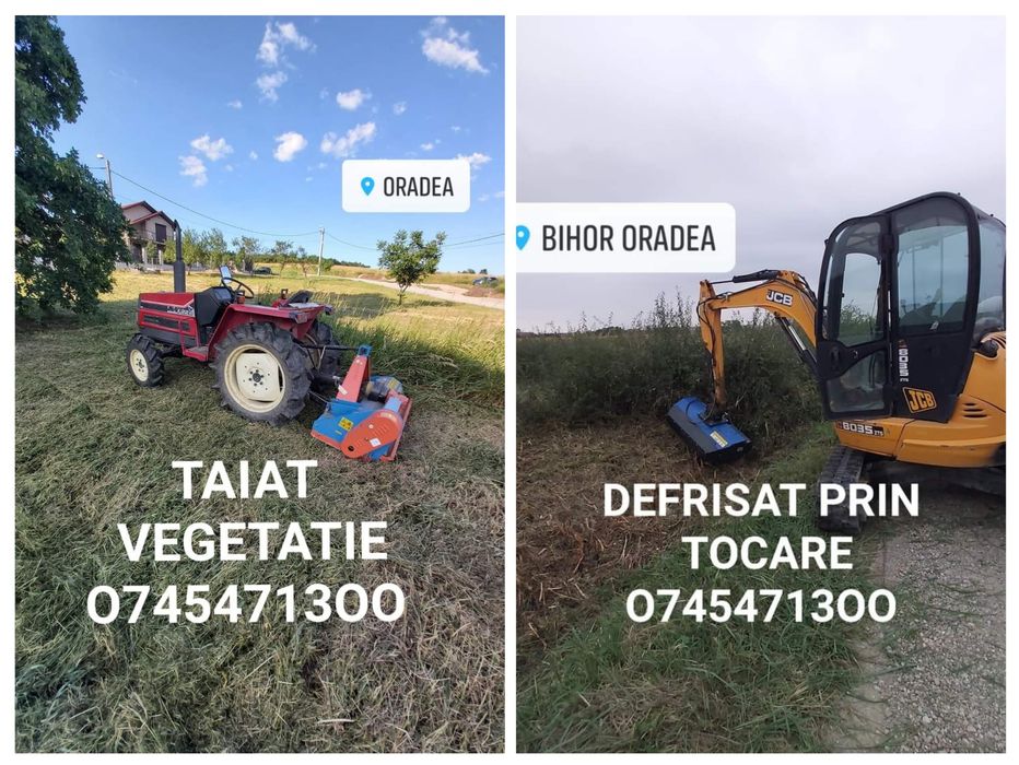 Defrisat vegetație , taiat iarba ambrozie maracini