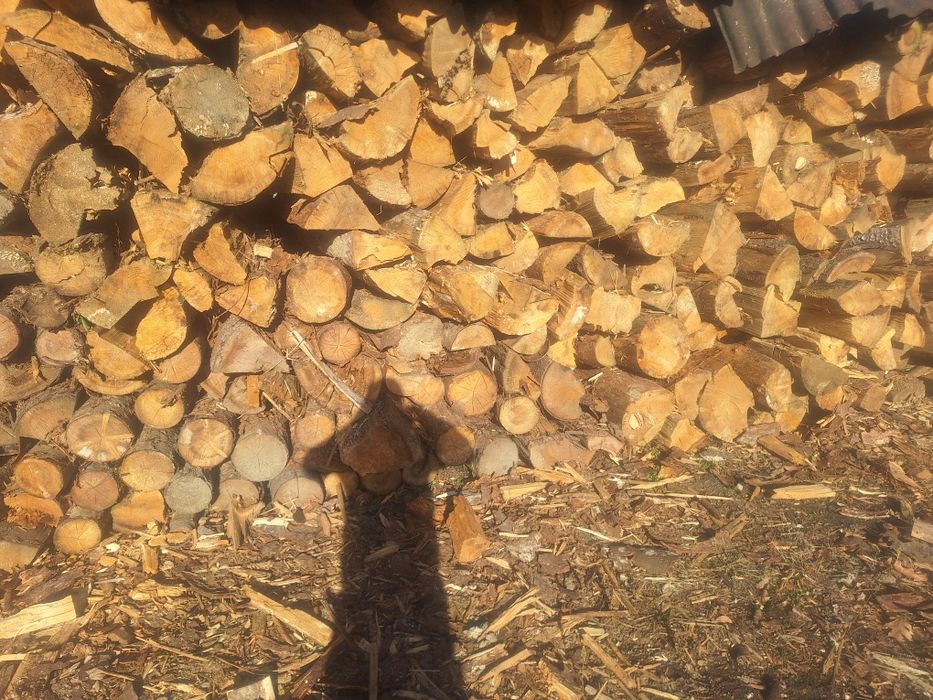 Lemn de foc esenta brad