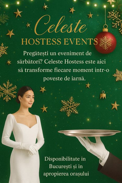 Craciun / Revelion / Gala / Nunta / Hostess / Celeste