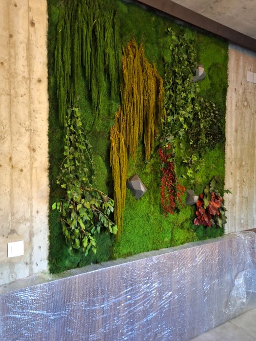 Декоративни пана със Скандинавски мъх