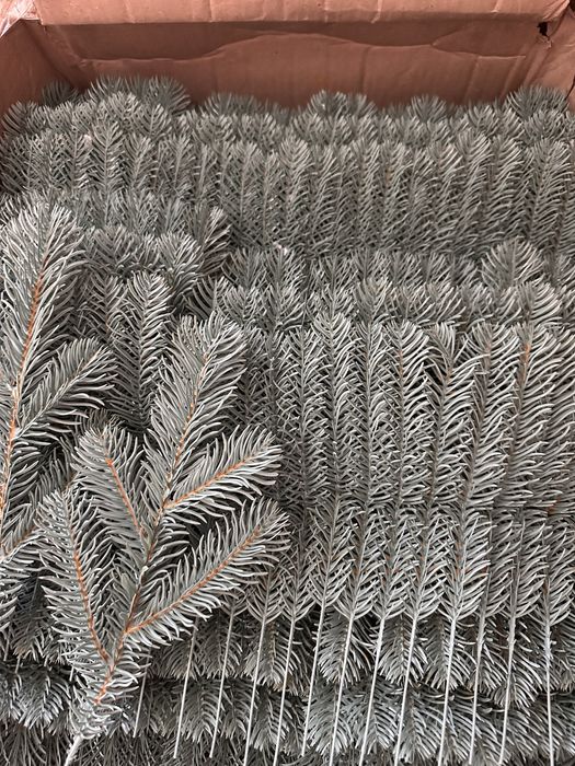 Crengute brad ninse albastre set 100 buc/200 lei