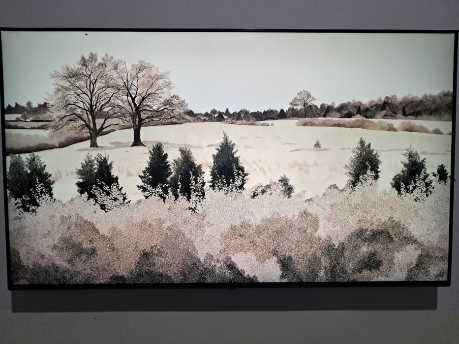 LG 55 nano cell  televizor