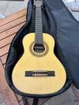 chitara ortega r12 1/2