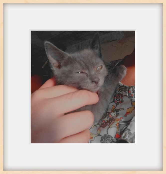 Киз, яхши колларга бераман