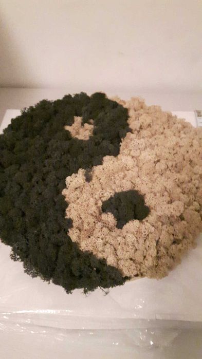 Арт пано "Ин-Ян" от естествен скандинавски мъх