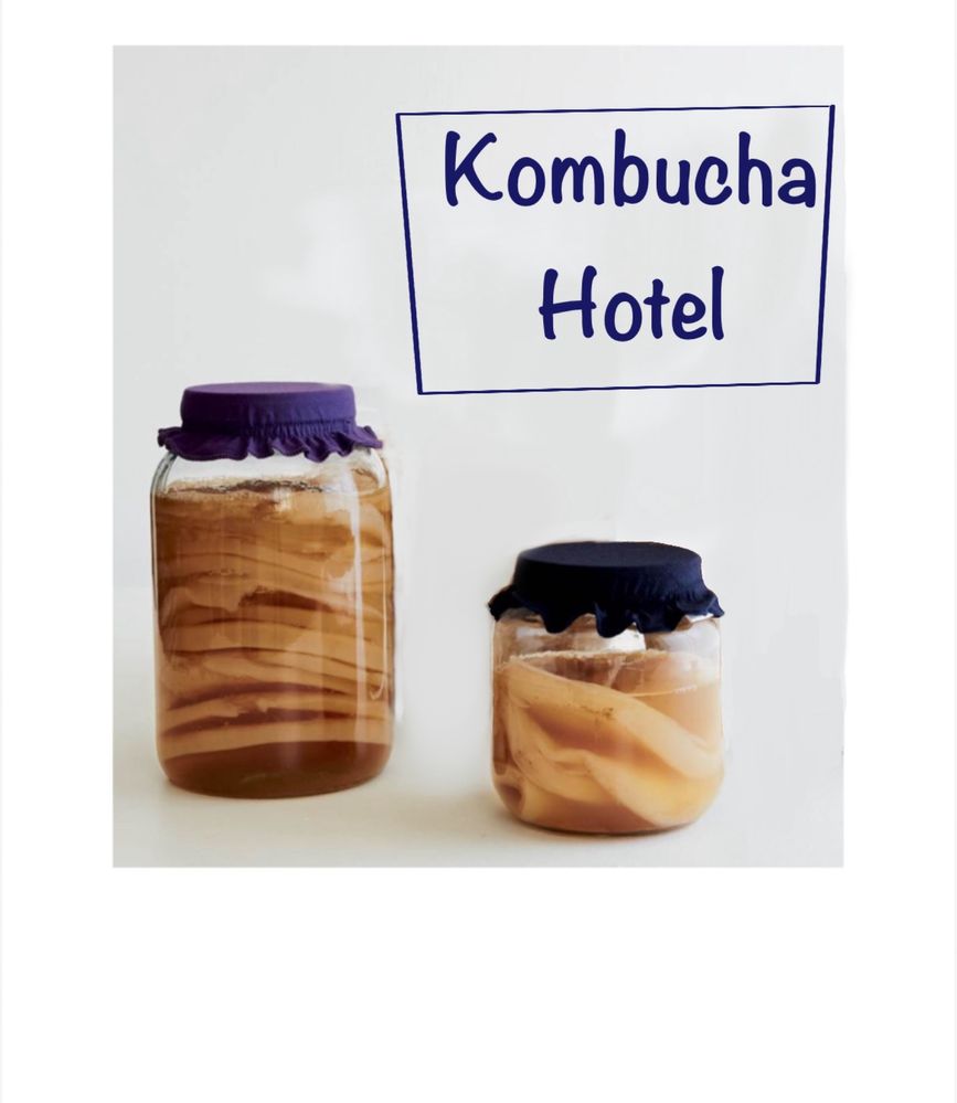 Kombucha de la A la Z
