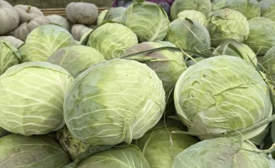 Домашно зеле на най- ниски цени!