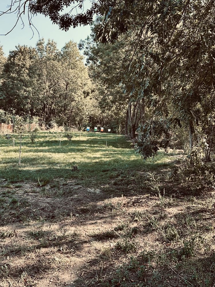 Teren de vanzare intravilan